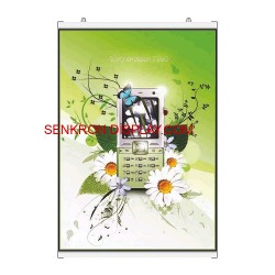 Poster Tutucu 42CM / 420MM